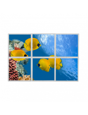 Lumigo Swimming Fish LED Picture Panel - Set of 6