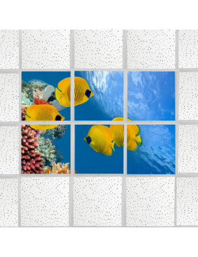Lumigo Swimming Fish LED Picture Panel - Set of 6