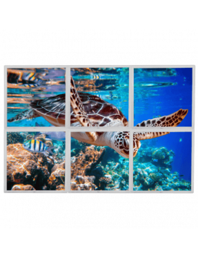 Lumigo Swimming Turtle LED Picture Panel - Set of 6